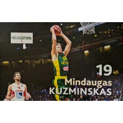 copy of 2015 Lietuvos vyrų...