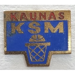 Kauno sporto mokykla
