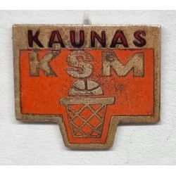 Kauno sporto mokykla