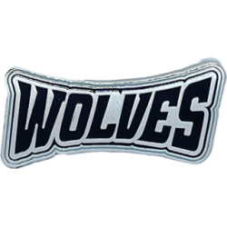 Vilniaus Wolves