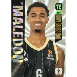 2024-25 New Sensation - Top...