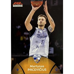 PLAYOFFS' WARRIORS -...