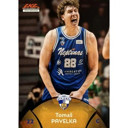 PLAYOFFS' WARRIORS -...