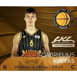 2025-26 LKL lipdukų kolekcija