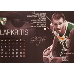 copy of 2014 Metų Žalgirio...